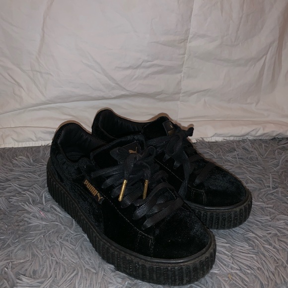 black puma creepers